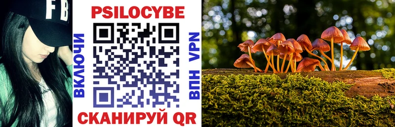 Галлюциногенные грибы мицелий  наркота  Феодосия 